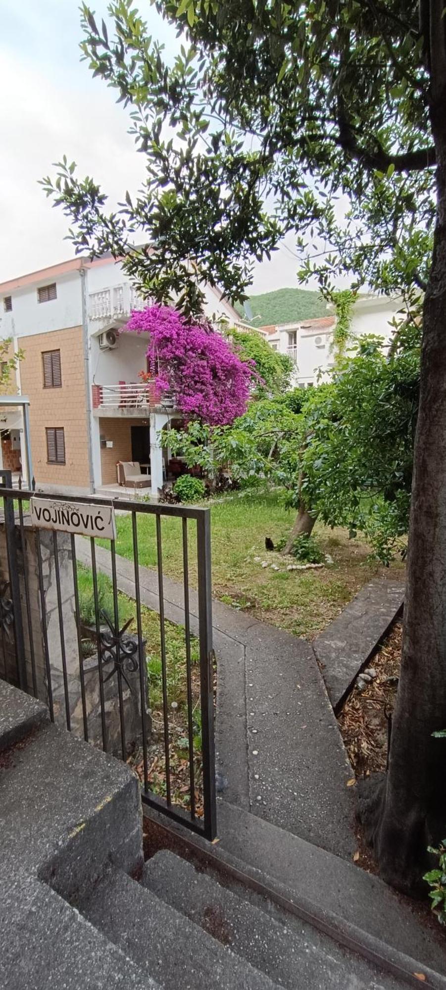 Vojinovic Apartman *