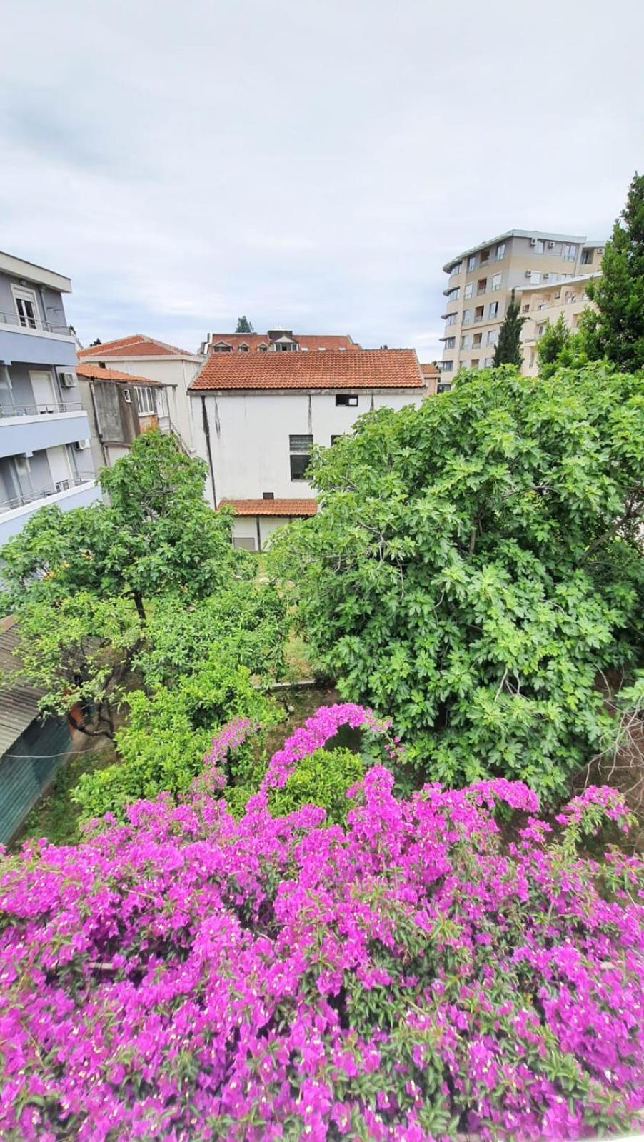 Apartman Vojinovic *