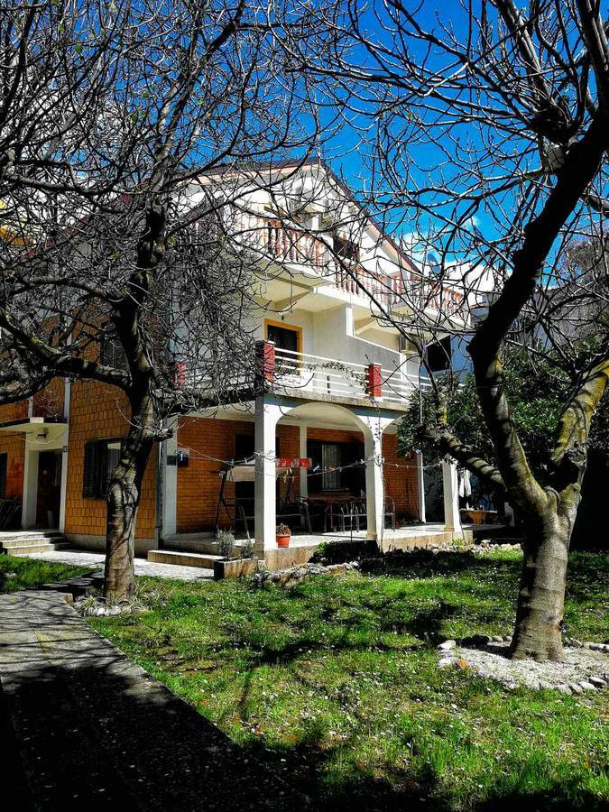 Apartman Vojinovic *