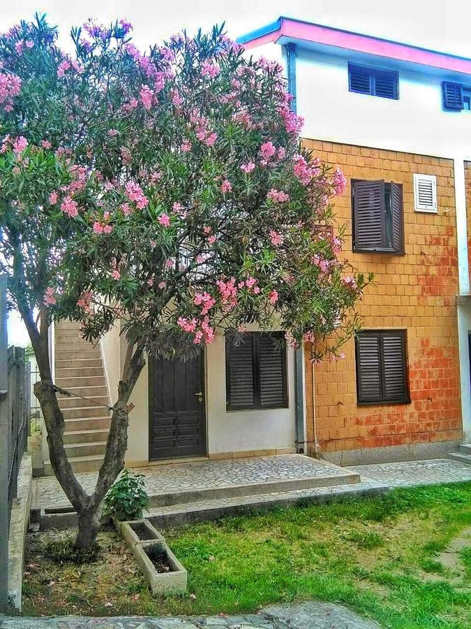 Vojinovic Apartman Budva